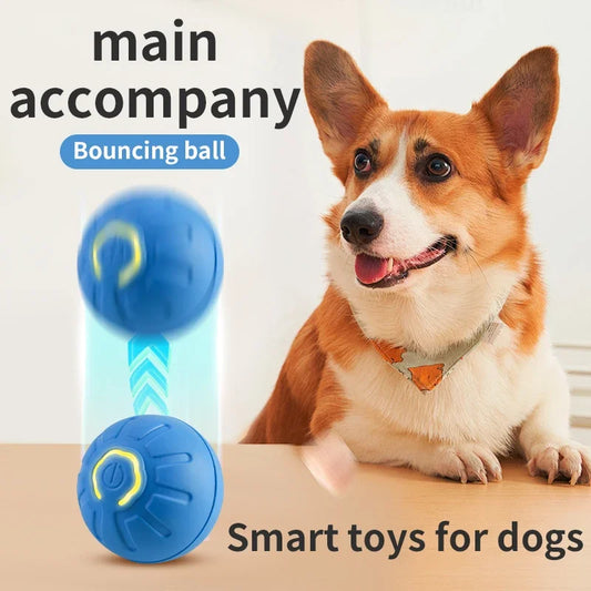 Electronic Pet Ball Toy