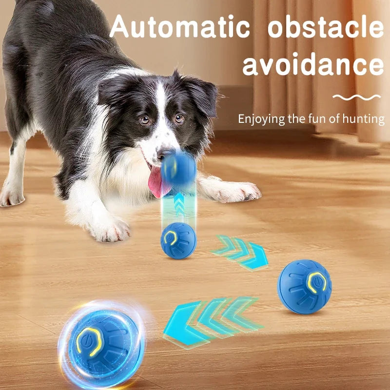 Electronic Pet Ball Toy