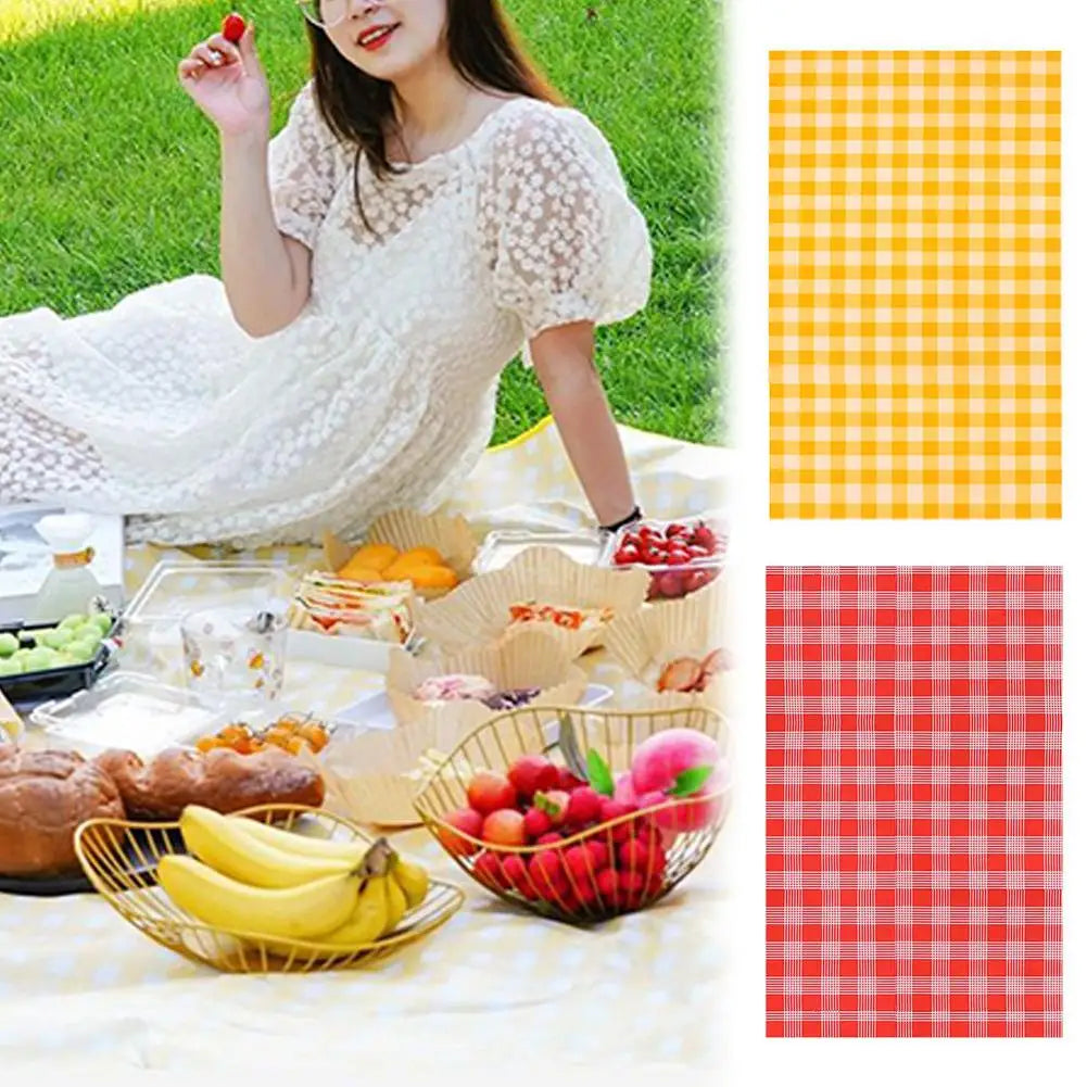 Outdoor Picnic Mat