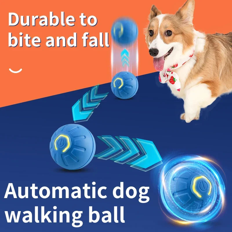 Electronic Pet Ball Toy